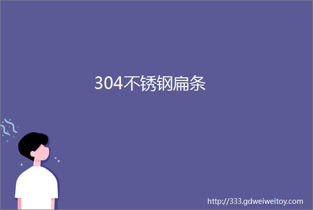 304不锈钢扁条